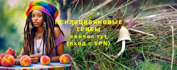 mix Козловка