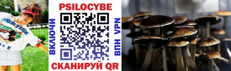 Галлюциногенные грибы прущие грибы  Купить  Порхов 